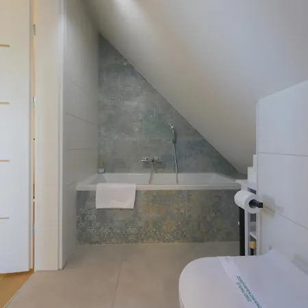 別荘 Aurora ミエレンコ